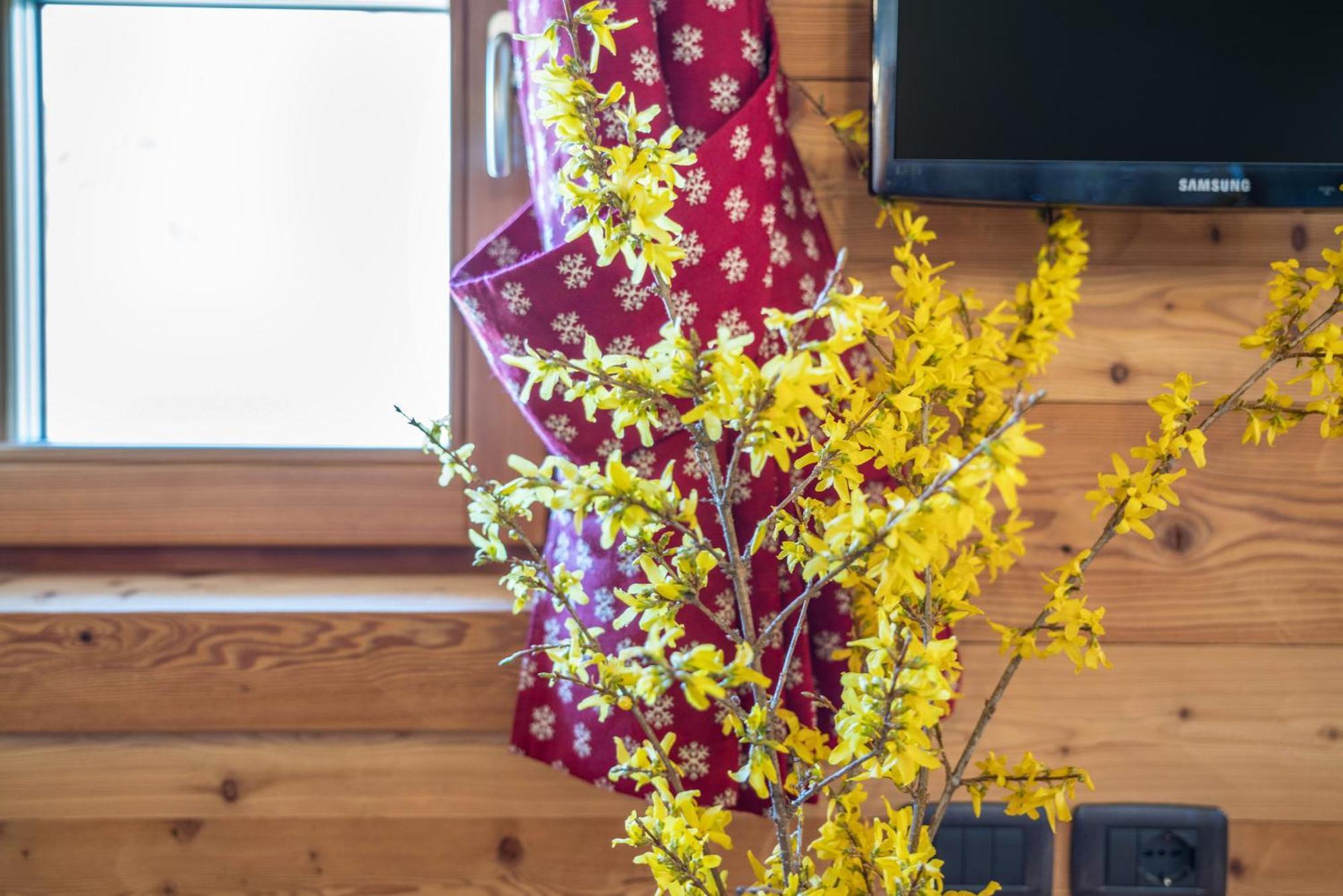 Chalet Camping Fae 1 Madonna di Campiglio Luaran gambar